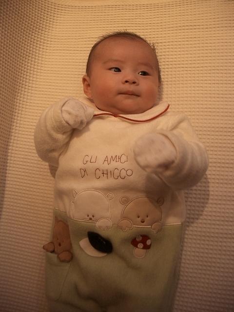 IMGP0947.JPG