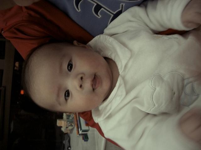 IMGP0980.JPG