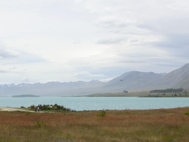 RIMG0975.JPG